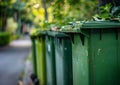 Green garbage bins are lined up along the street