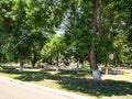 green garden in Akhtyrskiy urban settlement Royalty Free Stock Photo