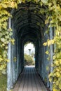 green garden arch with lush foliage, archway path at park Royalty Free Stock Photo