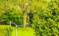 Green garden backyard in spring in Bremen Germany Royalty Free Stock Photo