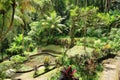 Green garden at Goa Gajah (Elephant Cave) Temple near Ubud, Bali, Indonesia Royalty Free Stock Photo