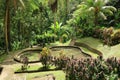 Green garden at Goa Gajah (Elephant Cave) Temple near Ubud, Bali, Indonesia Royalty Free Stock Photo