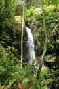 Green garden at Goa Gajah (Elephant Cave) Temple near Ubud, Bali, Indonesia Royalty Free Stock Photo