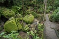 Green garden at Goa Gajah  Temple Elephant Cave near Ubud, Bali Royalty Free Stock Photo