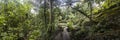 Green garden at Goa Gajah Elephant Cave Temple near Ubud, Bali, Indonesia Royalty Free Stock Photo