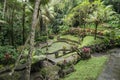 Green garden at Goa Gajah  Temple Elephant Cave near Ubud, Bali Royalty Free Stock Photo