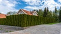 Green garden hedge of thuja. Plant tree hedge. Landscape design. A house is fenced with a wall of decorative shrubs or bushes. Royalty Free Stock Photo