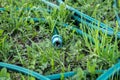 Green garden hose lying on the grass Royalty Free Stock Photo