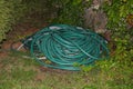 Green garden hose lying on the ground Royalty Free Stock Photo