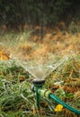 Green garden hose and sprayer for watering Royalty Free Stock Photo