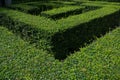 Green garden maze Royalty Free Stock Photo