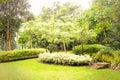 Green garden in the morning at Suan Luang Rama 9 Park