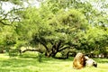 Garden scenery-1 in Kanakakunnu Paace Park Royalty Free Stock Photo