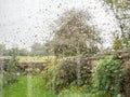 Green garden seen through rain splattered window