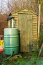 A green garden shed with a water barrel in the winter sun