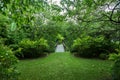 Green garden and wood dock to water pond for relax Royalty Free Stock Photo