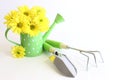 Green Gardening Tools with Yellow Flowers