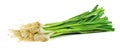 Green garlic isolated on white background. Crop.