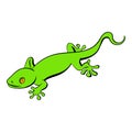 Green gecko lizard icon cartoon Royalty Free Stock Photo