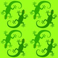 Green gecko lizards pattern Royalty Free Stock Photo