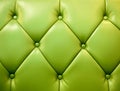 Green genuine leather upholstery Royalty Free Stock Photo