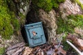 Green geocaching ammo box is hidden in a mossy wooden cavity