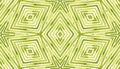 Green Geometric Watercolor. Amazing Seamless Pattern. Hand Drawn Stripes. Brush Texture. Fantastic Chevron Ornament.