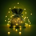 Green Gift Bag with Lights Royalty Free Stock Photo