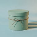 Green Gift Box with Bow Royalty Free Stock Photo