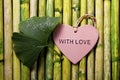 Green Gingko Leaf And Heart On Bamboo Royalty Free Stock Photo