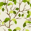 Green ginkgo leaves Royalty Free Stock Photo