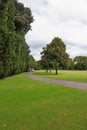 A green glade in a park-garden Sigurta