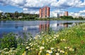 A green glade with wildflowers, in the background a river, a large multistory apartment building, Royalty Free Stock Photo