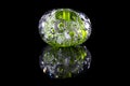 Green glass bead with bubbles Royalty Free Stock Photo