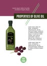 Green glass bottle of olive oil with purple olives. Simple design template for article, banner or recipe. Eco product