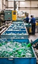 Green glass bottles being sorted in a recycling plant Royalty Free Stock Photo