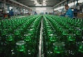 Green glass bottles lined up in a production facility, showcasing manufacturing process Royalty Free Stock Photo