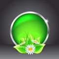 Green glass button with flowers Royalty Free Stock Photo