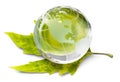 Environment concept, glass globe and green leaf Royalty Free Stock Photo