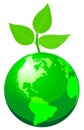 Green globe