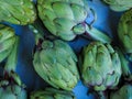 Green globe artichokes arranged on a blue background