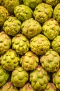 Green Globe Artichokes