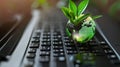 Green Globe On Laptop Keyboard: Sustainable Technology Royalty Free Stock Photo