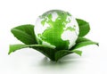 Green globe protected by fresh leaves. 3D illustration