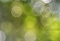 Green glow blurred bokeh