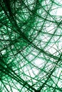 Green Glowing Neural Network Abstract Data Connection, Portrait Images Generative AI Royalty Free Stock Photo