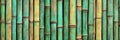 Green And Gold Bamboo Stalks Seamlessly Repeat To form a Background Texture With Natural Patterns Royalty Free Stock Photo
