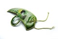 Green and gold traditional venetian carnival mask on stick on white background Royalty Free Stock Photo