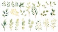 Green and Gold Watercolor Floral Illustration Set for Wedding Stationary and Greetings AI Generated