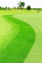 Green golf course Royalty Free Stock Photo